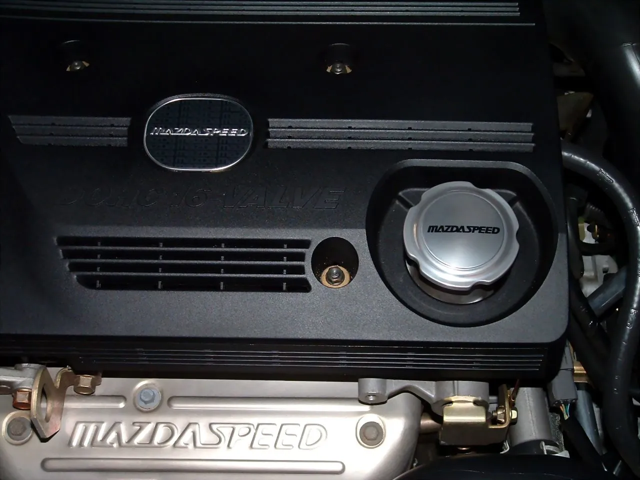 Oil Cap 007.jpg