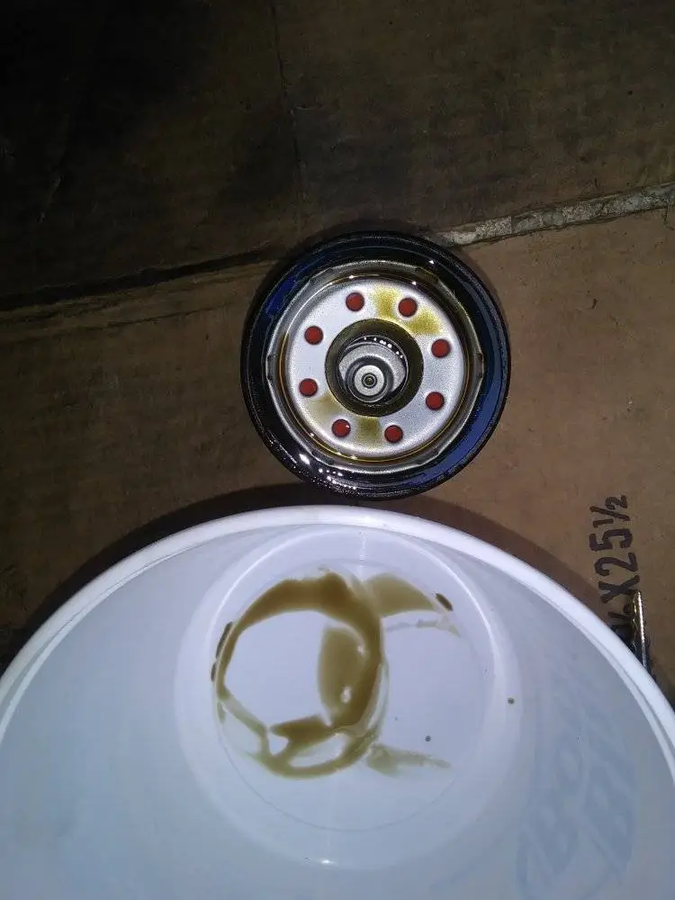 Oil Filter1.jpg