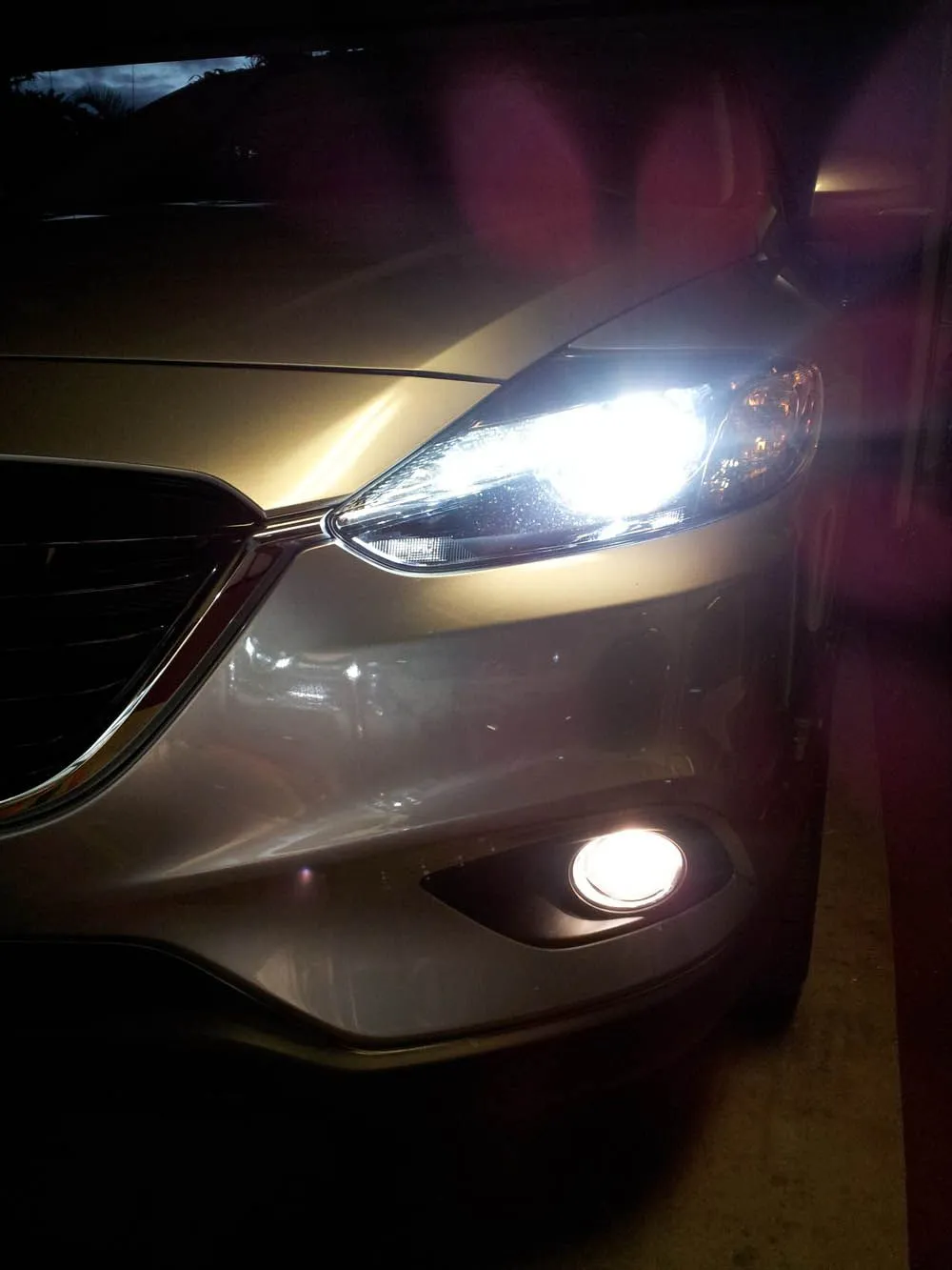 old_fog_light.jpg