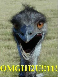 Ostrich.webp