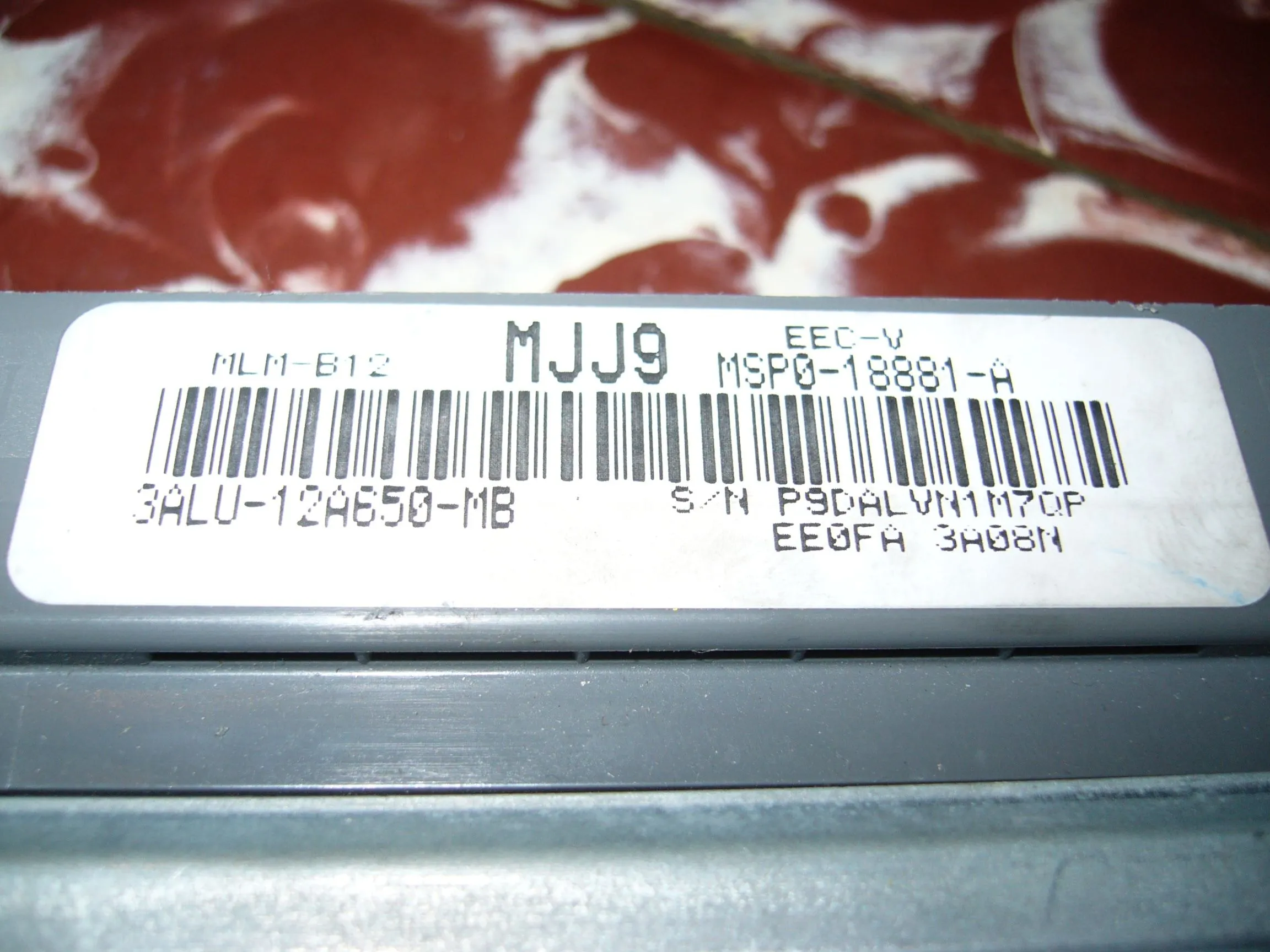 P1000225.JPG