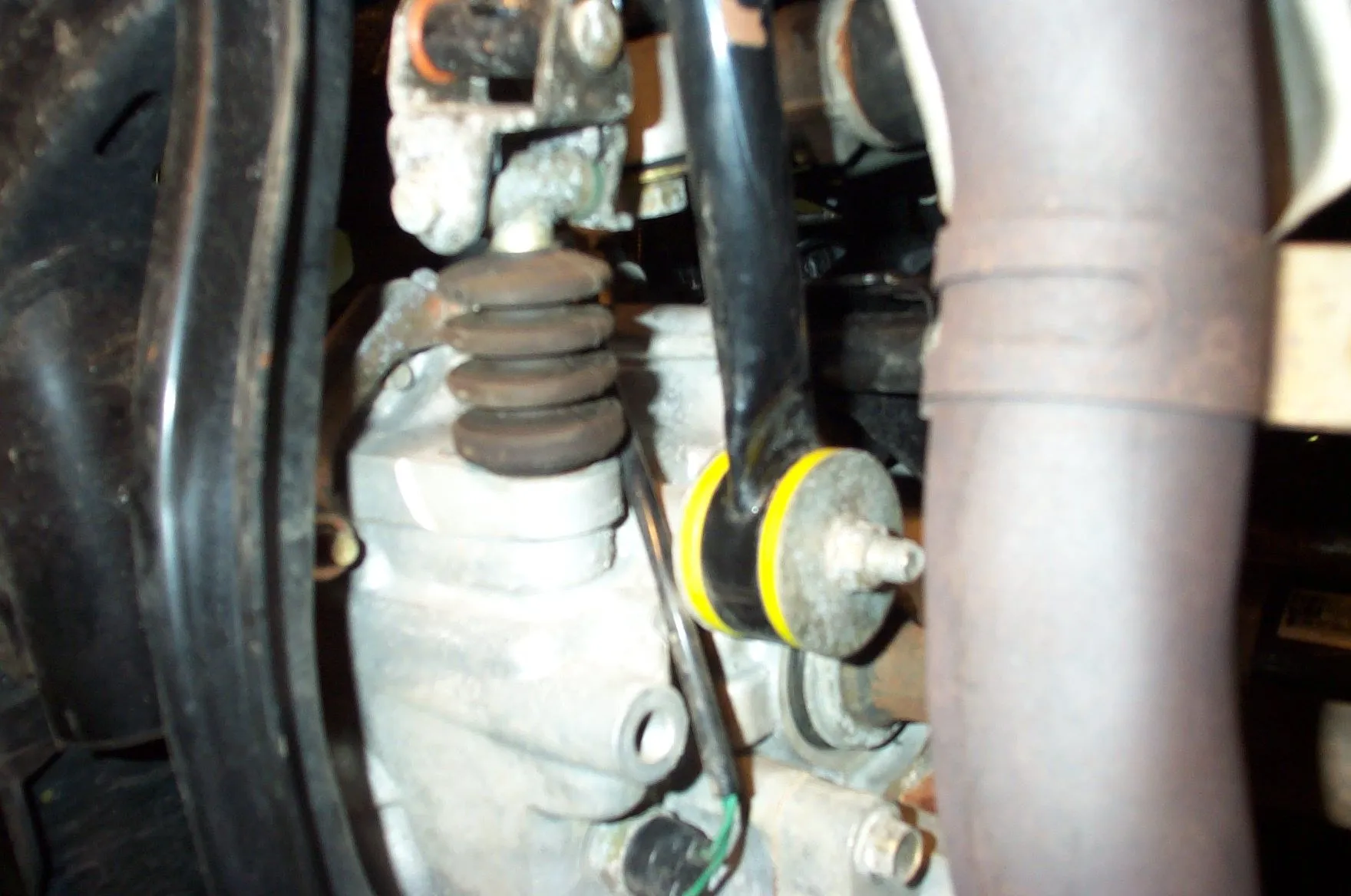 P1004027 - rotate.webp