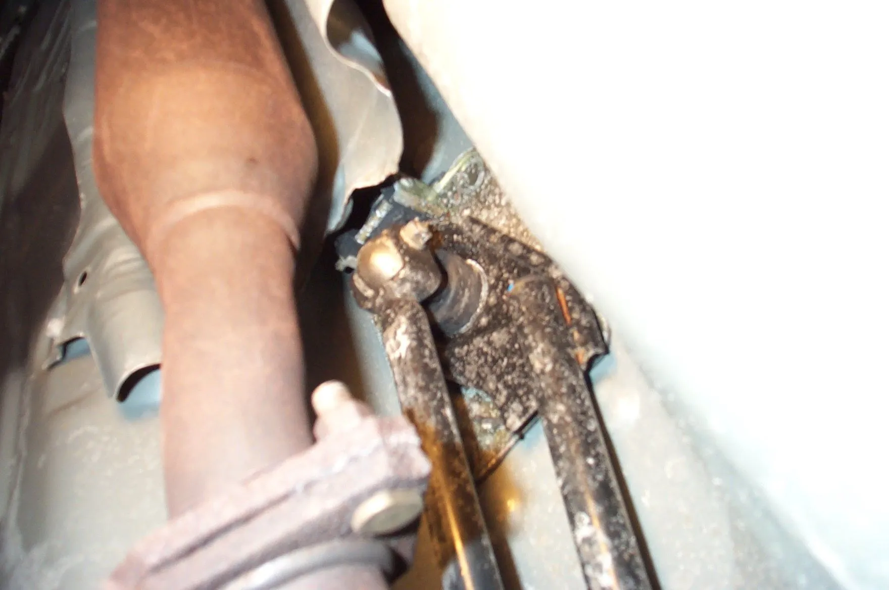 P1004028 - rotate.webp