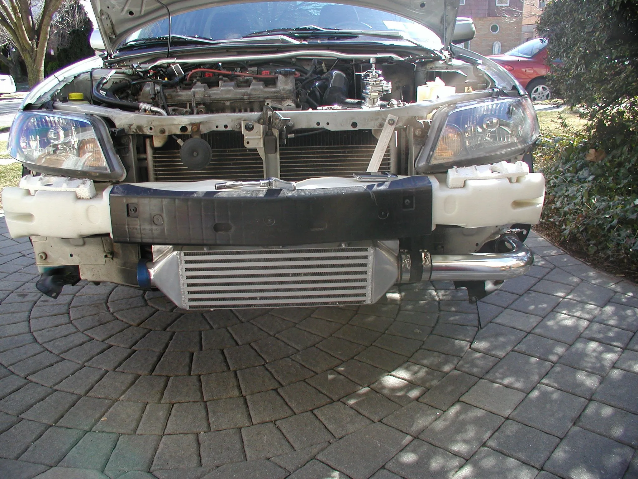 P1010004.JPG