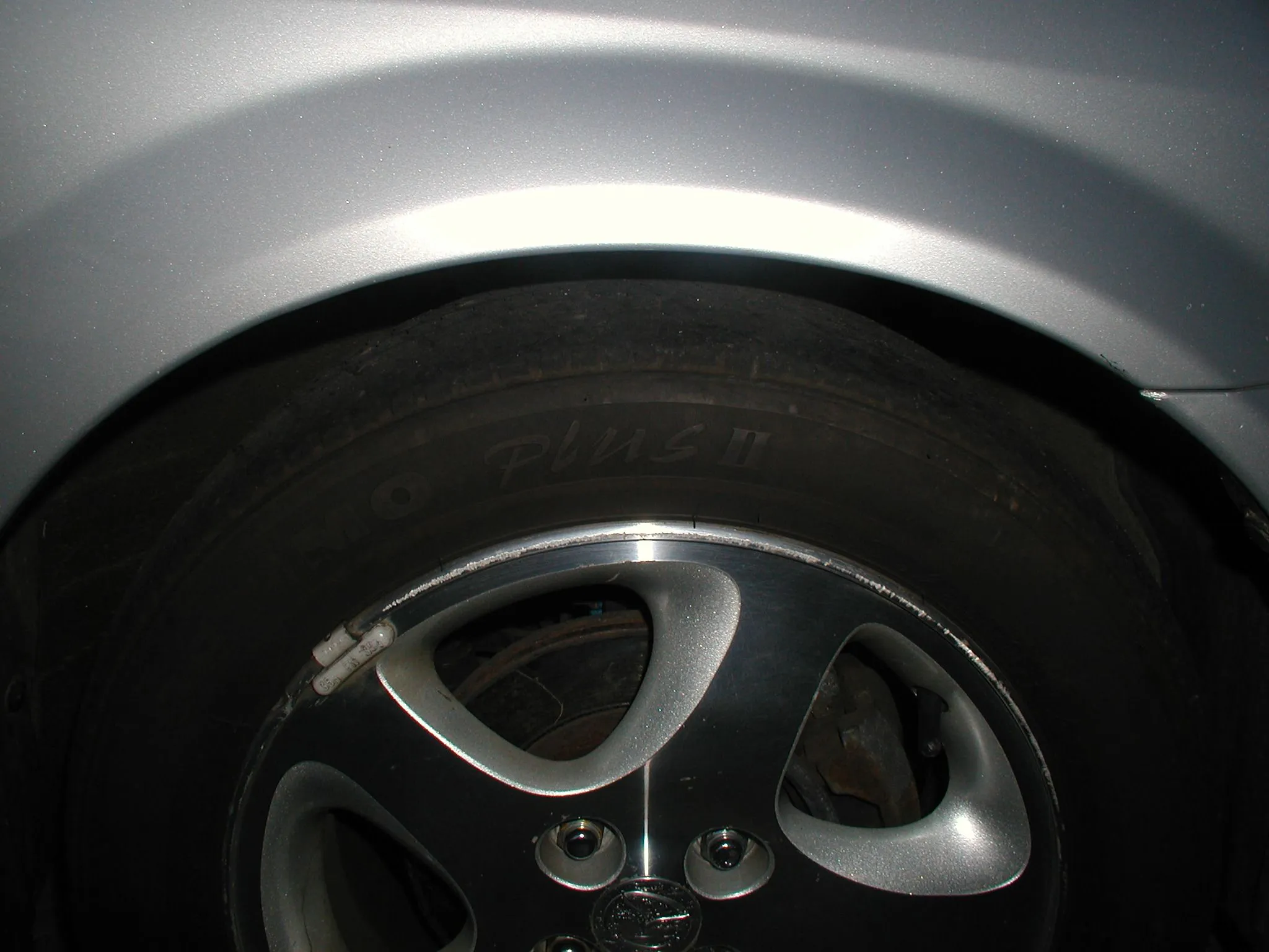 P1010006.JPG