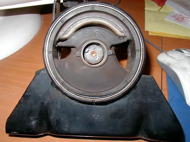 P1010006.JPG