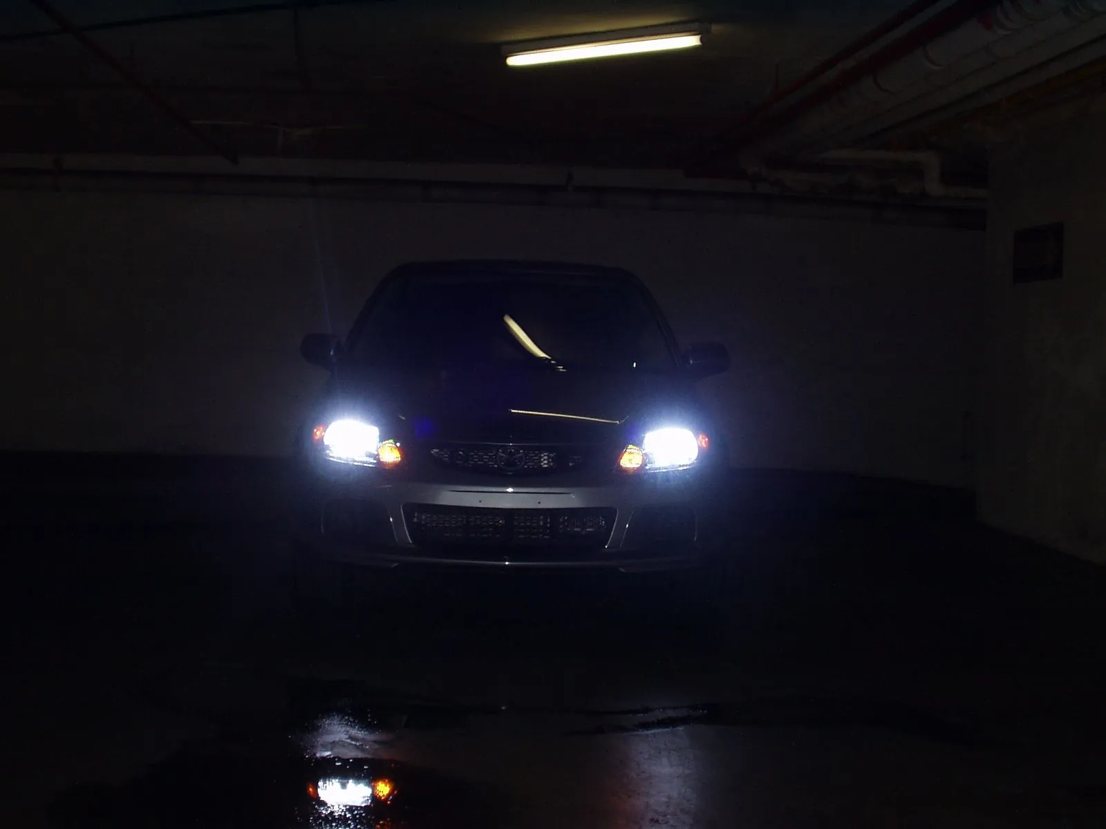 P1010019.JPG