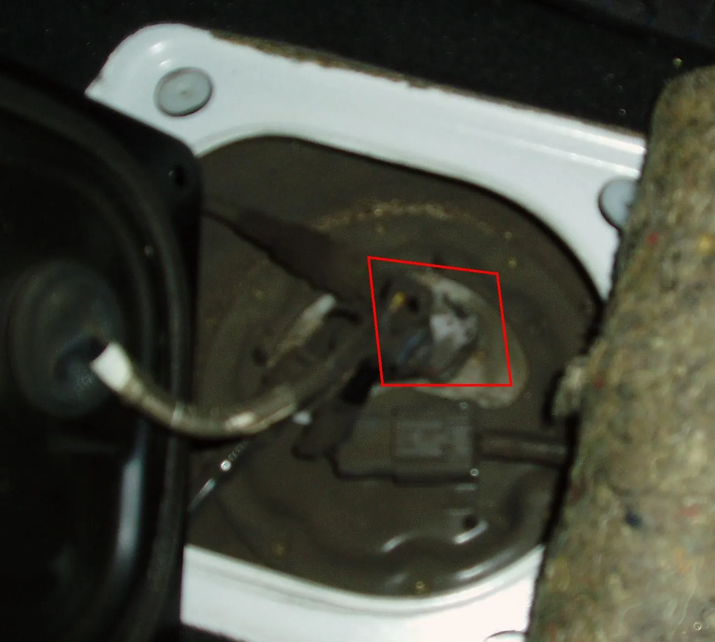 P1010022 - edit.webp