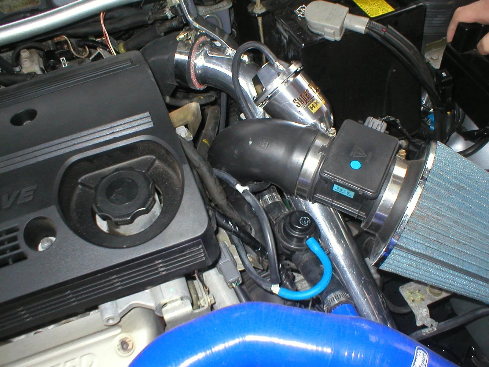 P1010025.JPG