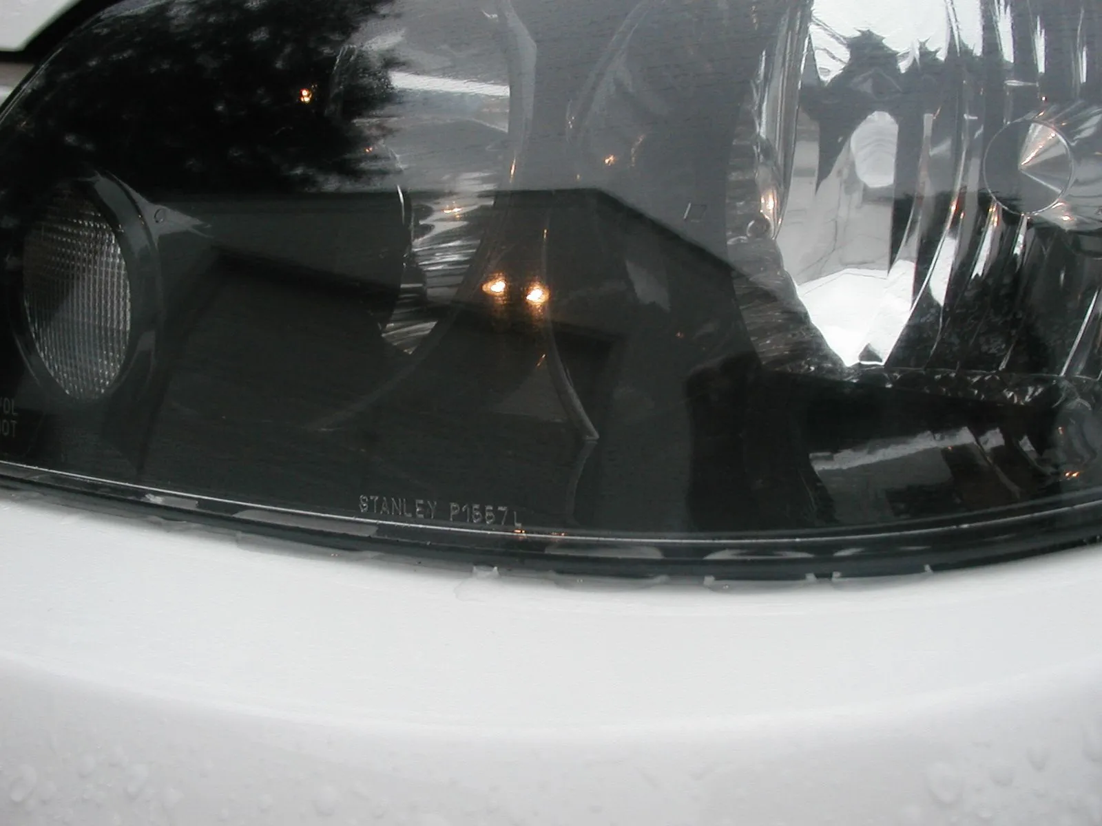 P1010031.JPG