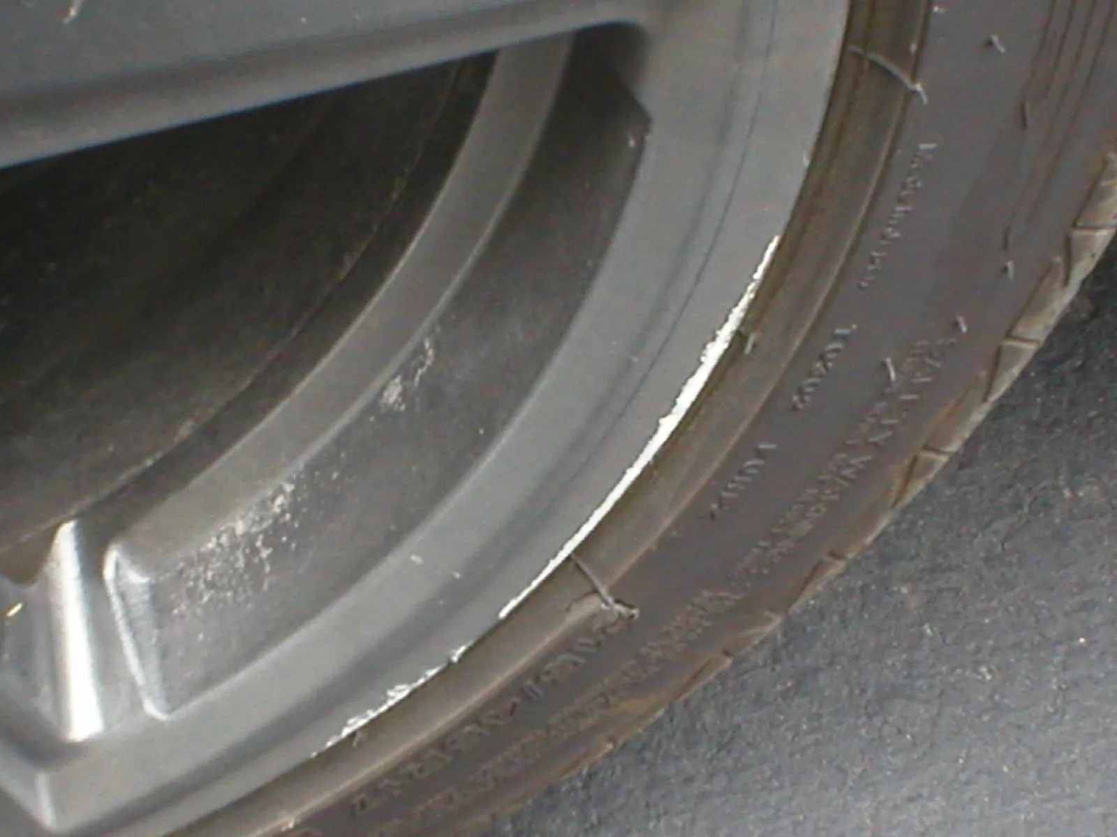 P1010081.JPG