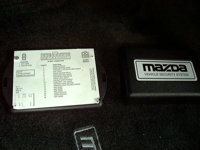 p1010187.jpg