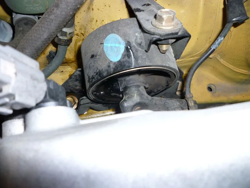 P1010591_20.jpg