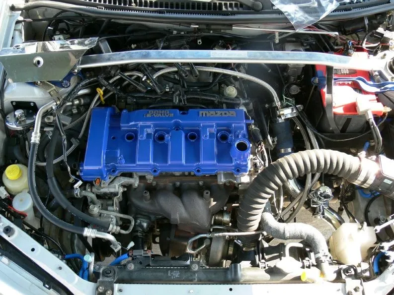 p1020215 (2).jpg