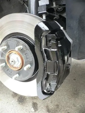 P1040778 (Small).JPG