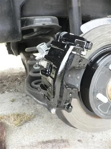 P1040779 (Small).JPG