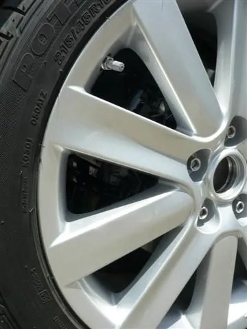 P1040781 (Small).JPG