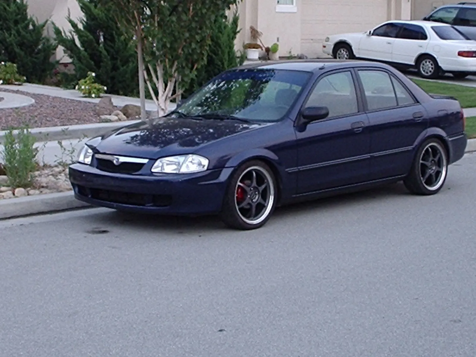 P1050531.JPG
