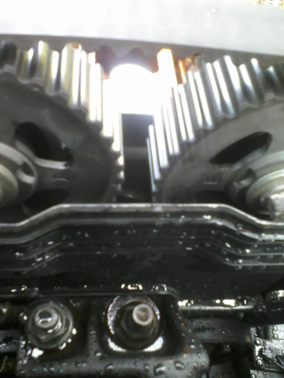 P12-09-10_12.37.jpg