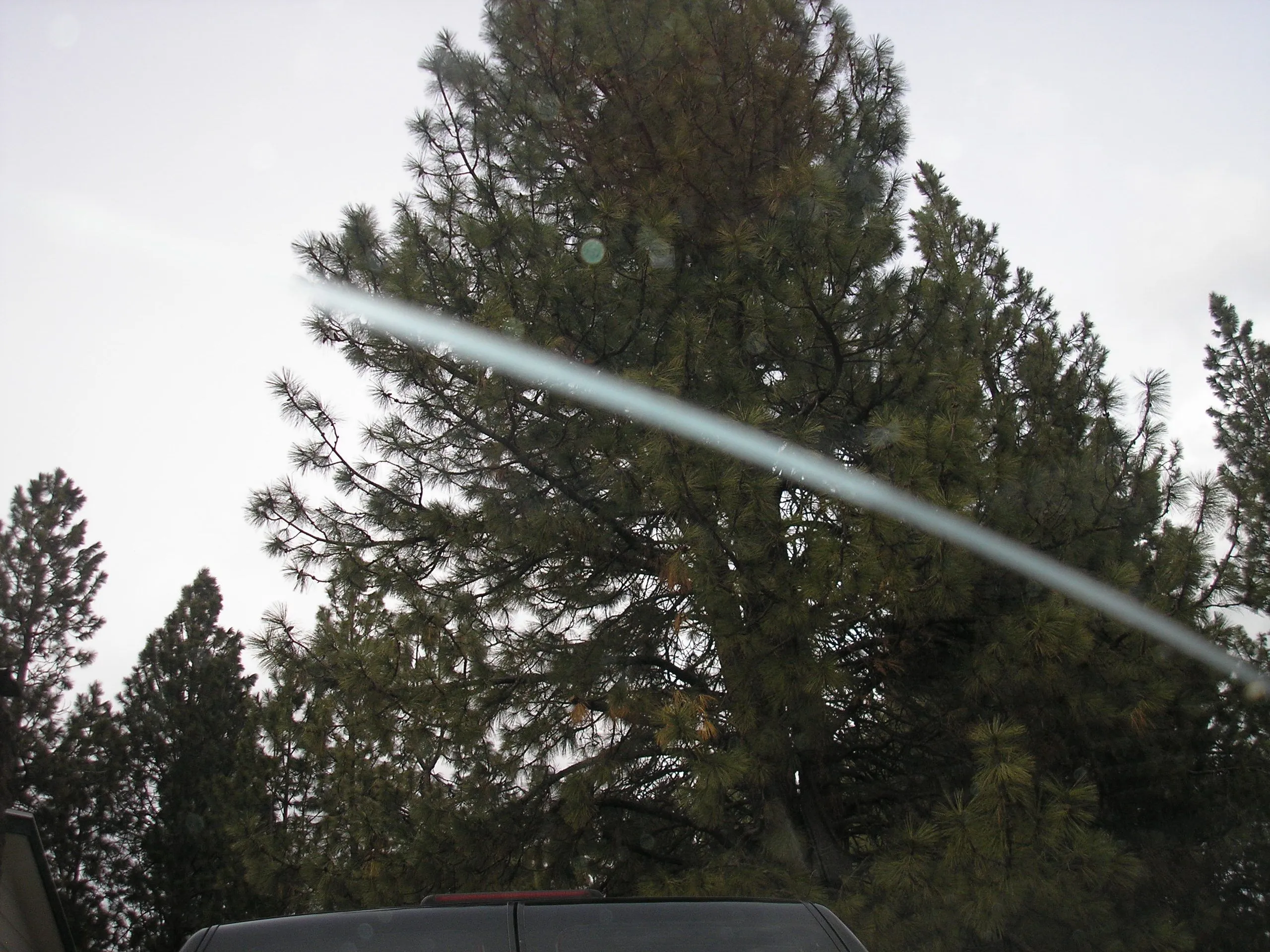 P3301677.JPG