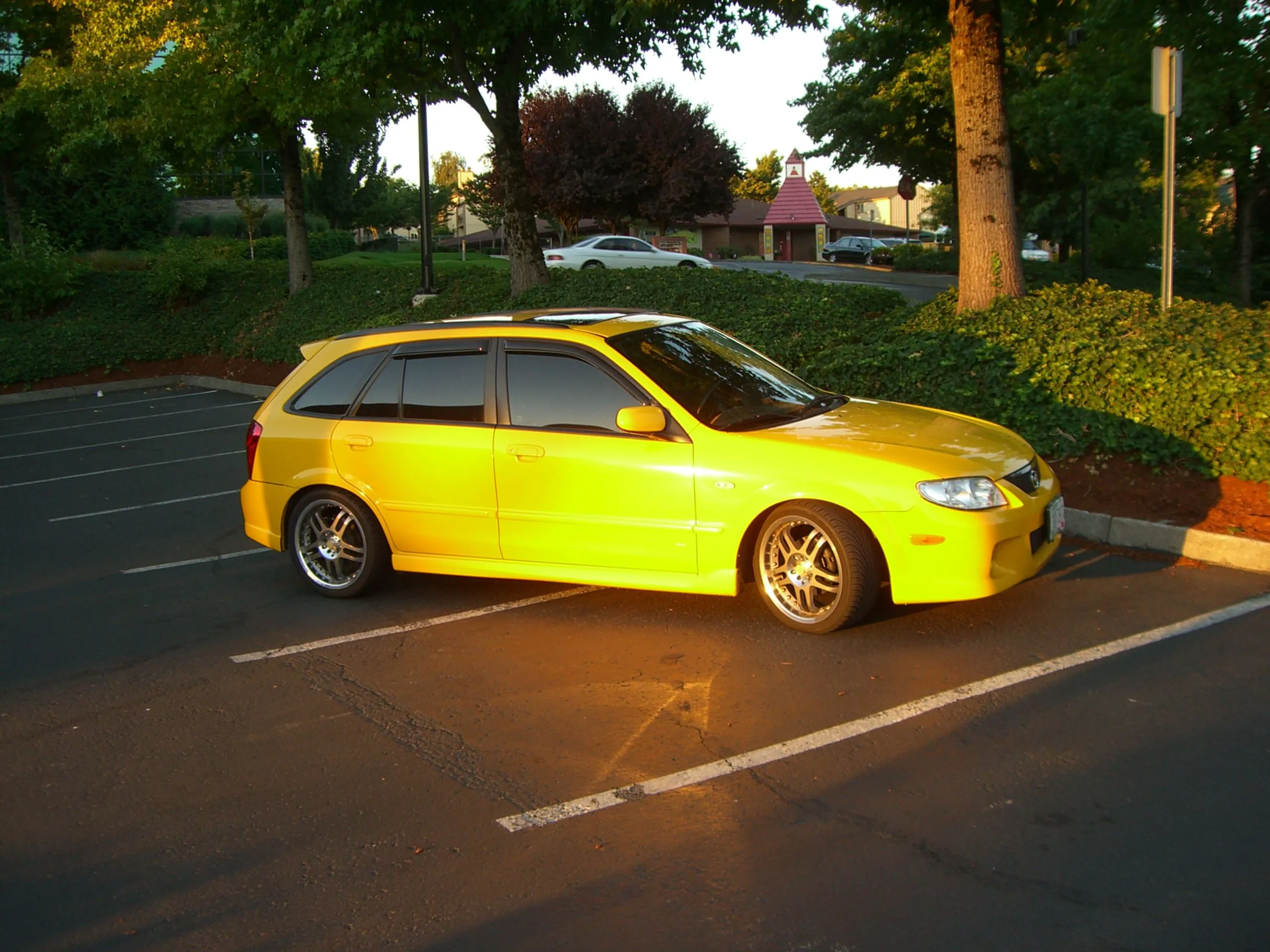 p5 - 1.JPG