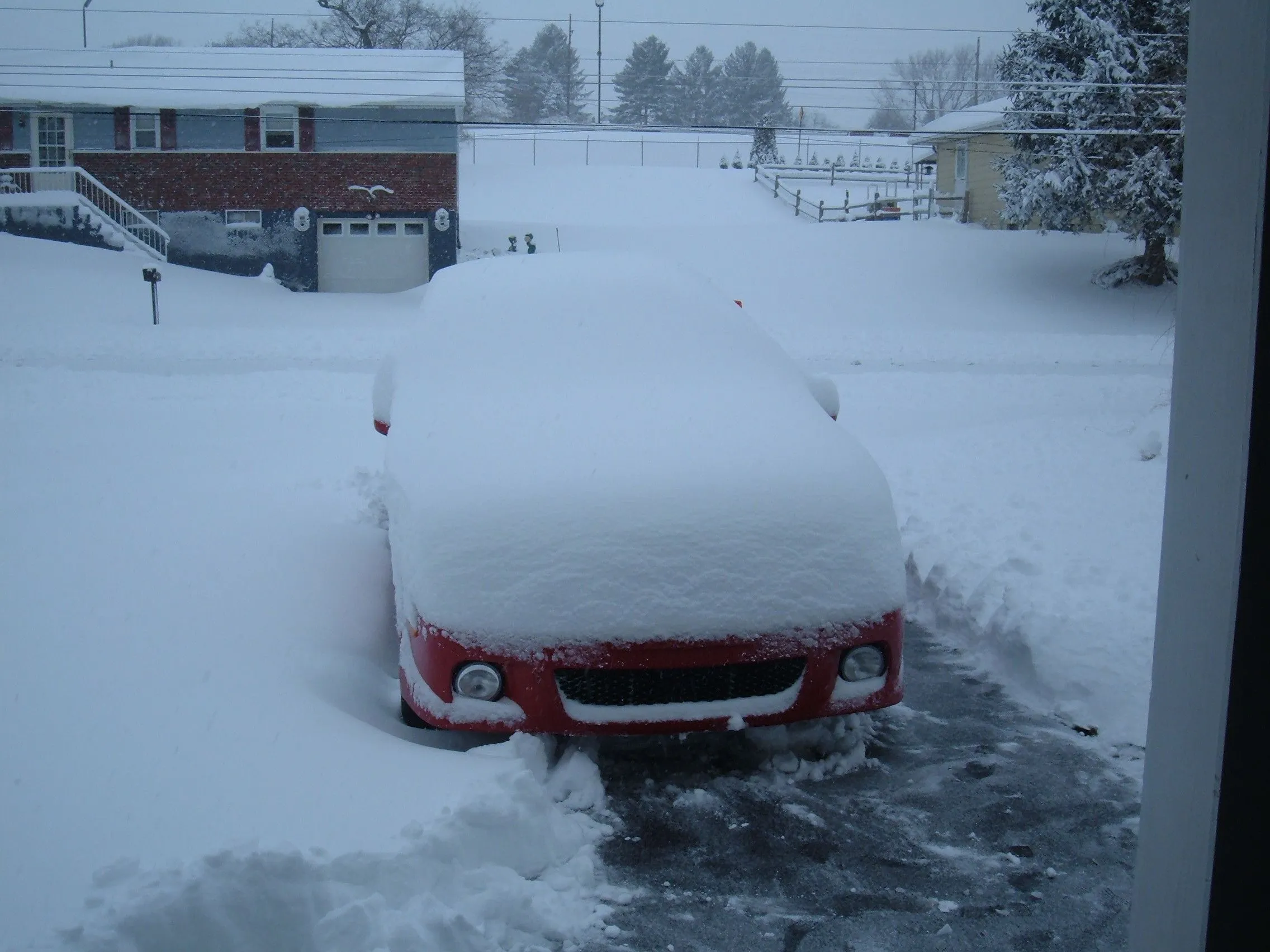P5 - 8.5 Inches of Snow.JPG