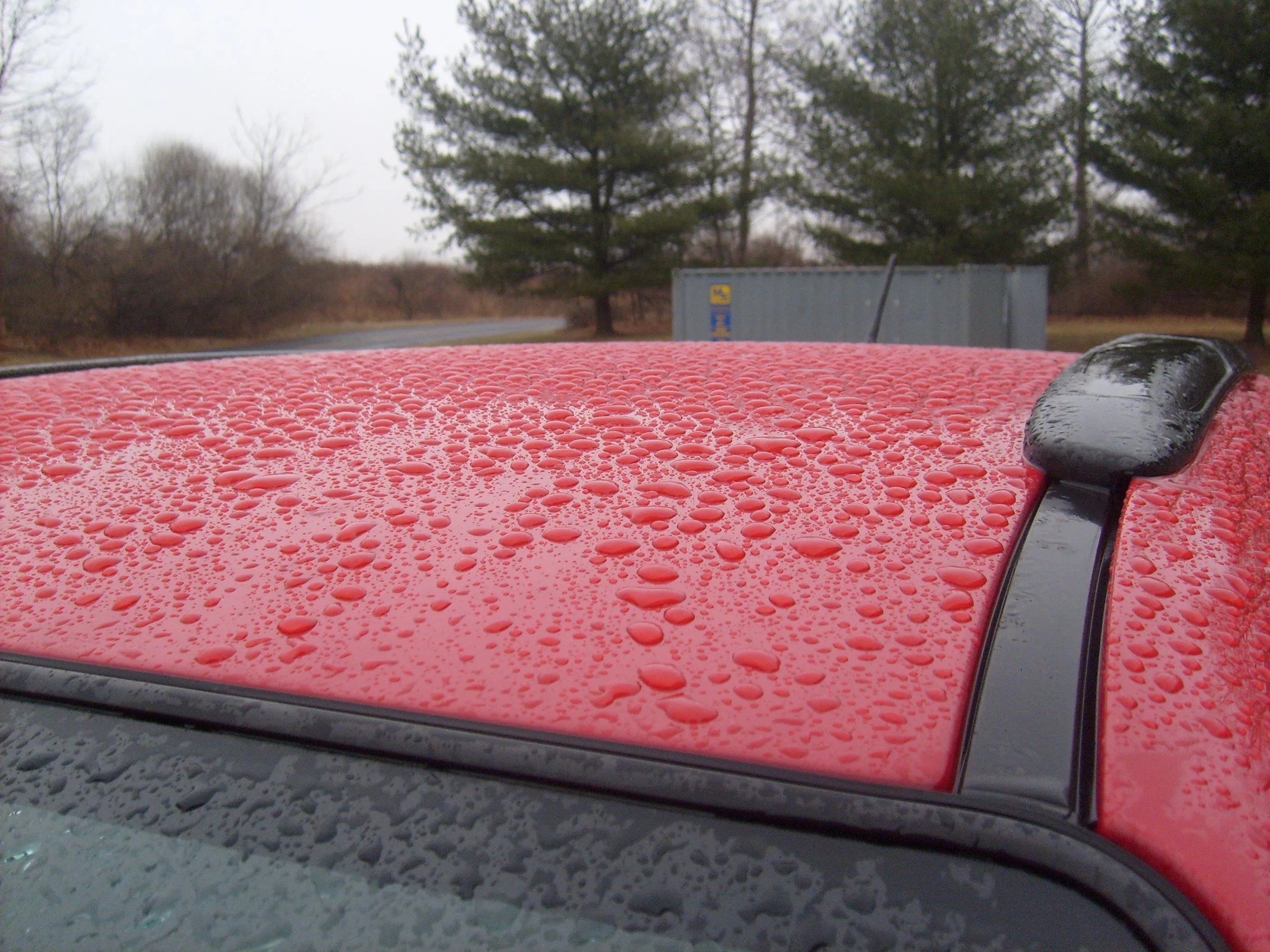 P5 - Bead Jan 29 2008 (1).webp