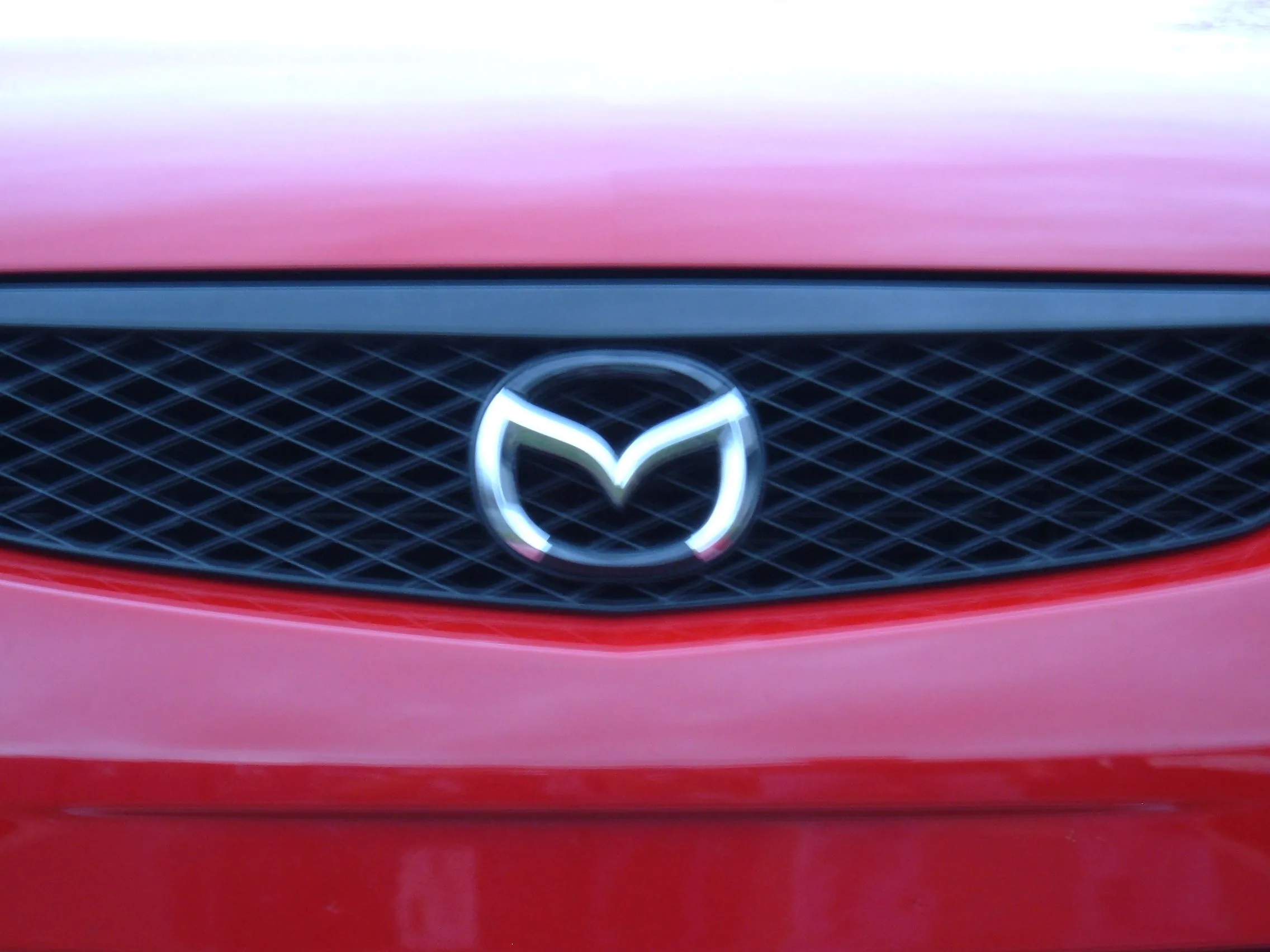 P5 Painted Front Emblem.jpg