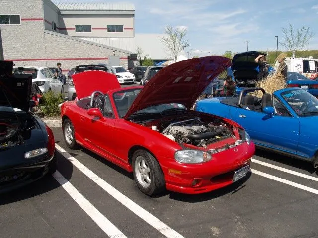 P5022525 [640x480].webp