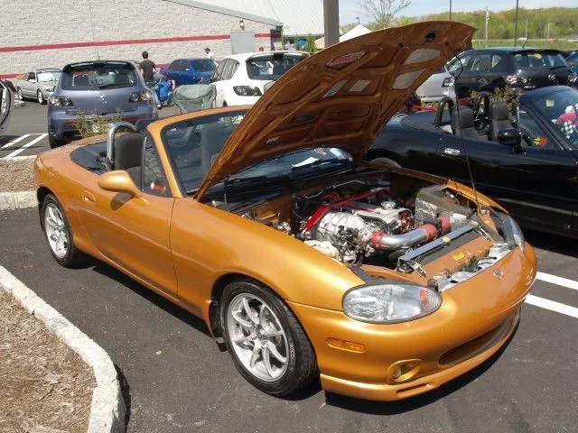 P5022527 [640x480].webp