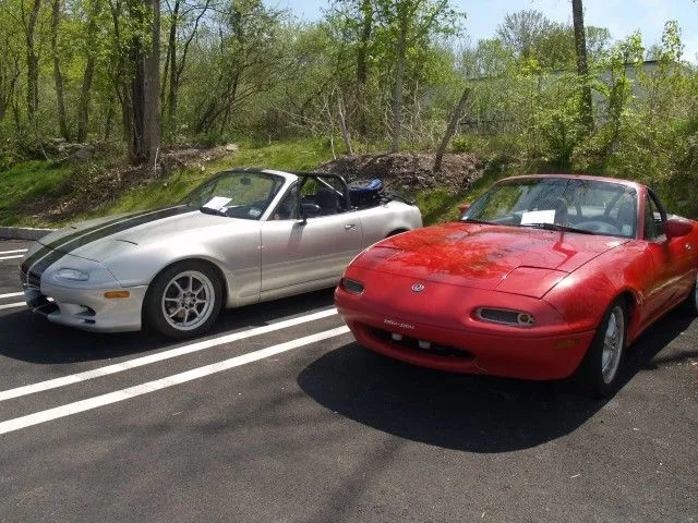 P5022528 [640x480].webp