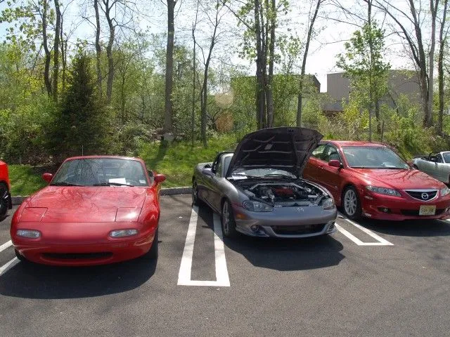 P5022530 [640x480].webp