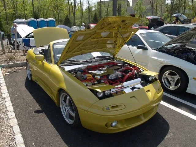 P5022532 [640x480].webp