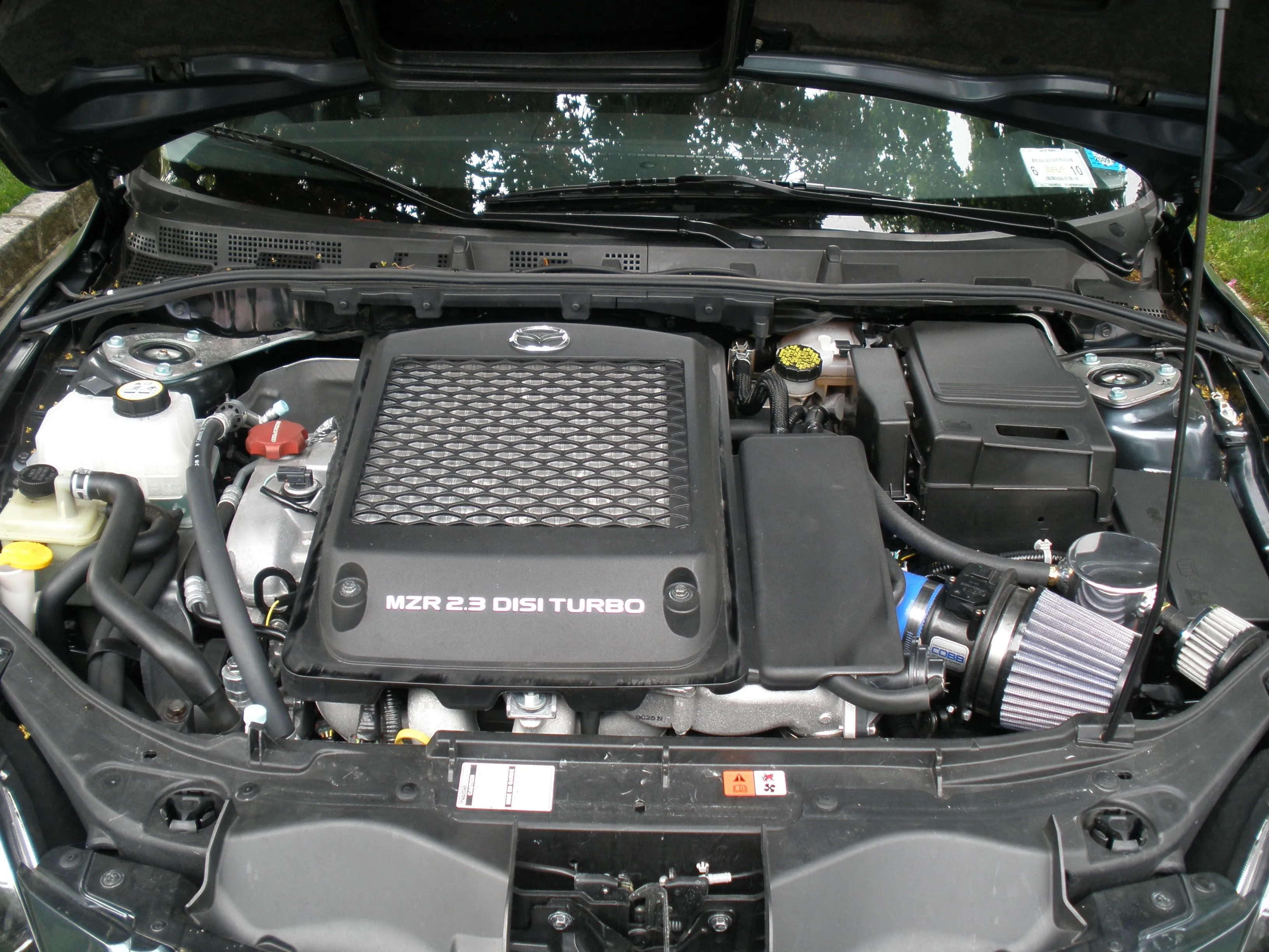 P5160009.JPG
