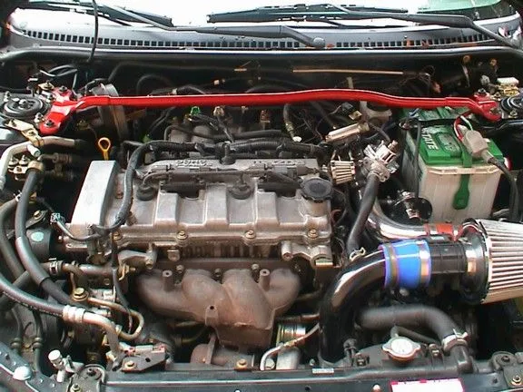 P519.jpg