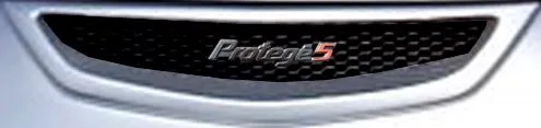 p5inthemiddleofthegrill.jpg