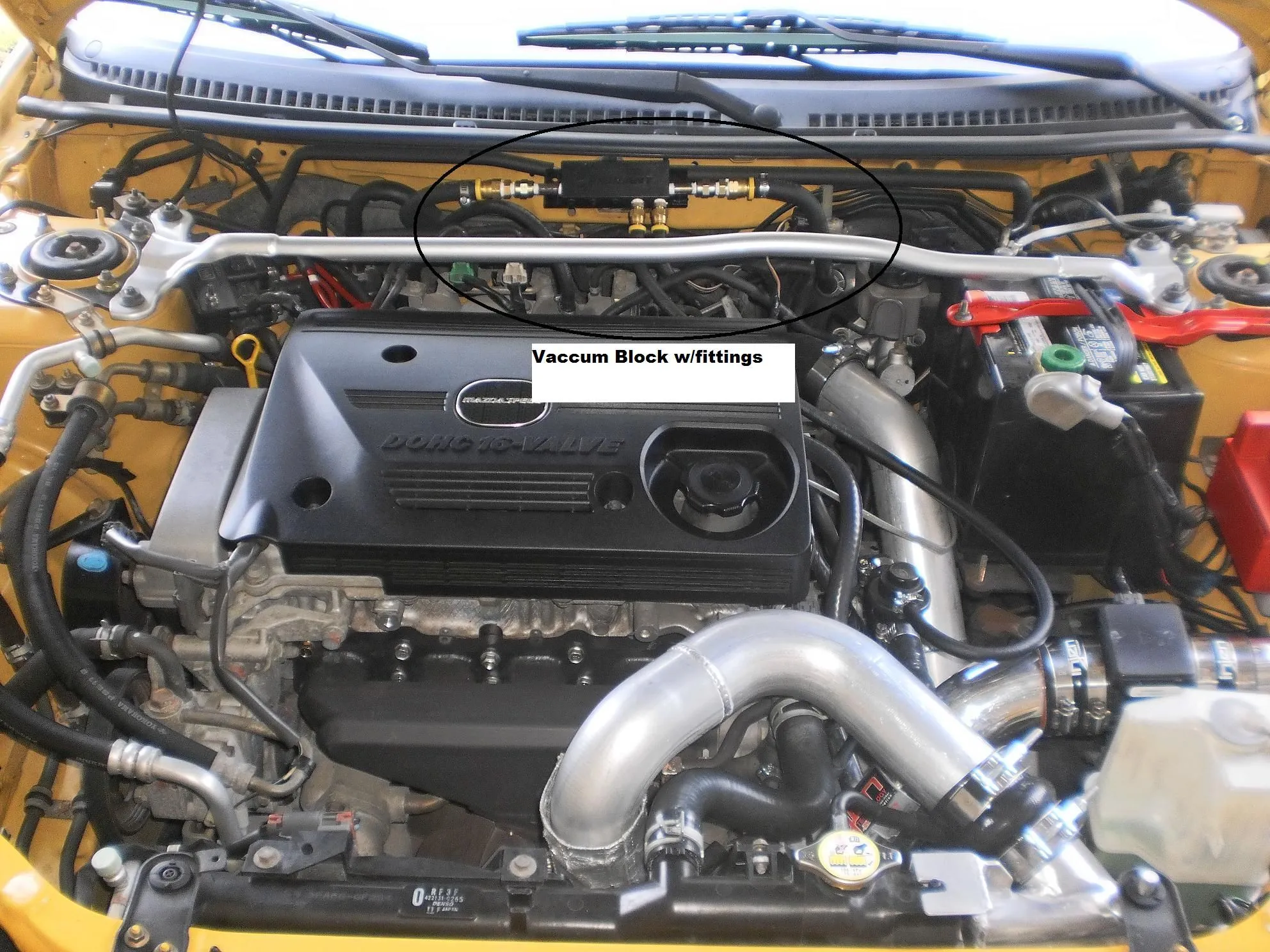 P6140007 web 2.jpg