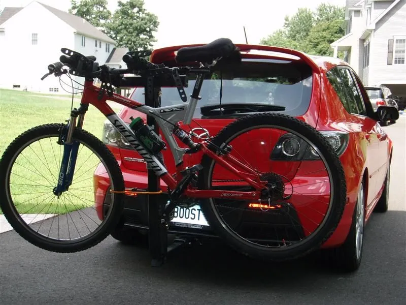 P8100008 (Medium).JPG