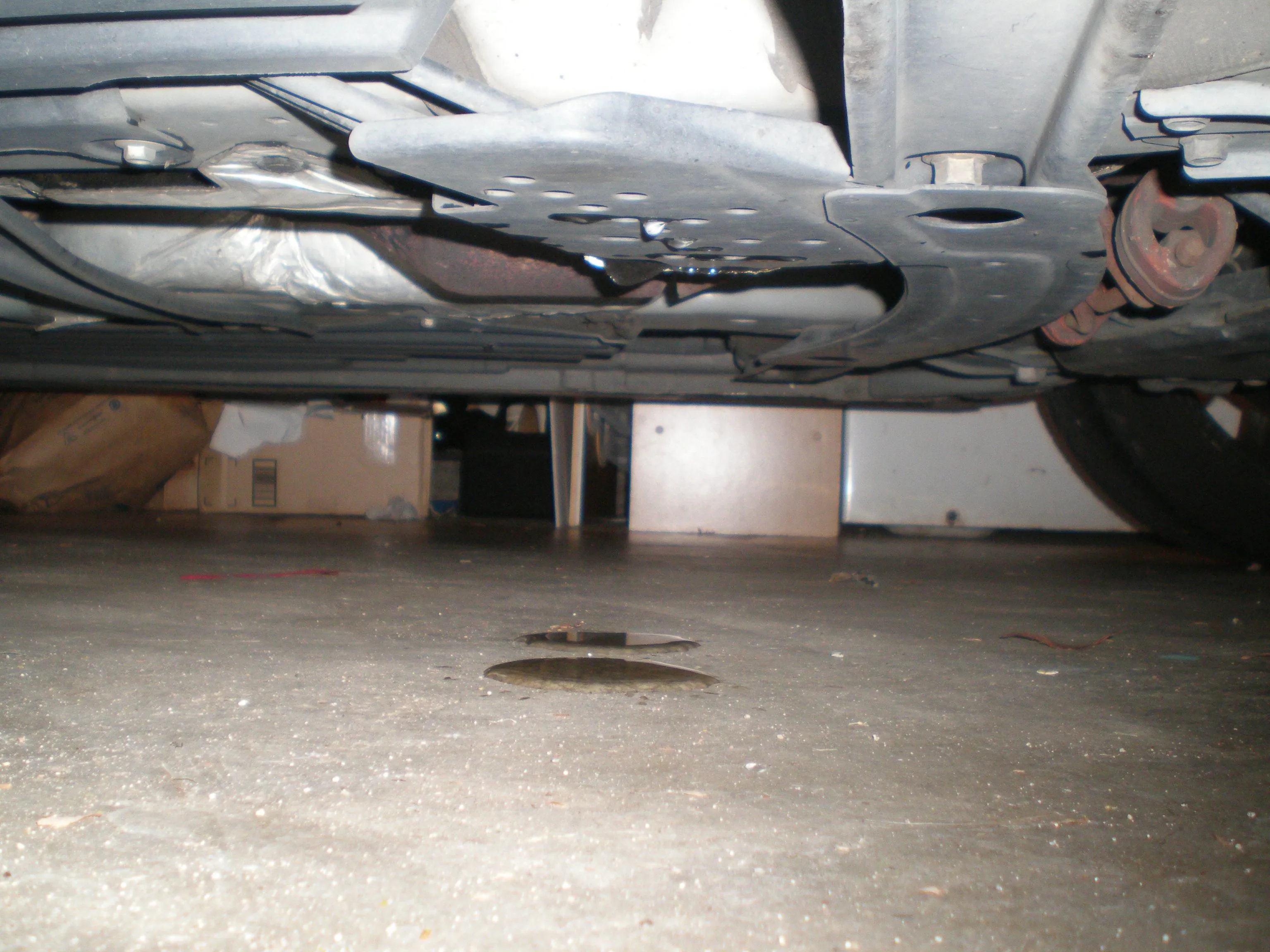 PA250170.JPG