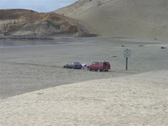 Pacific Coast 037.webp