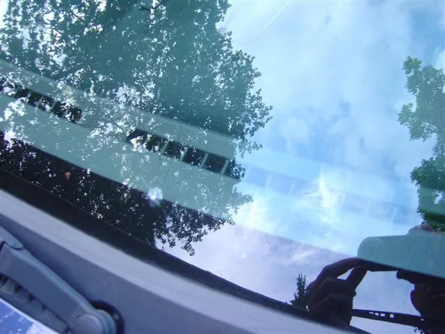 Pacific Coast 051.webp