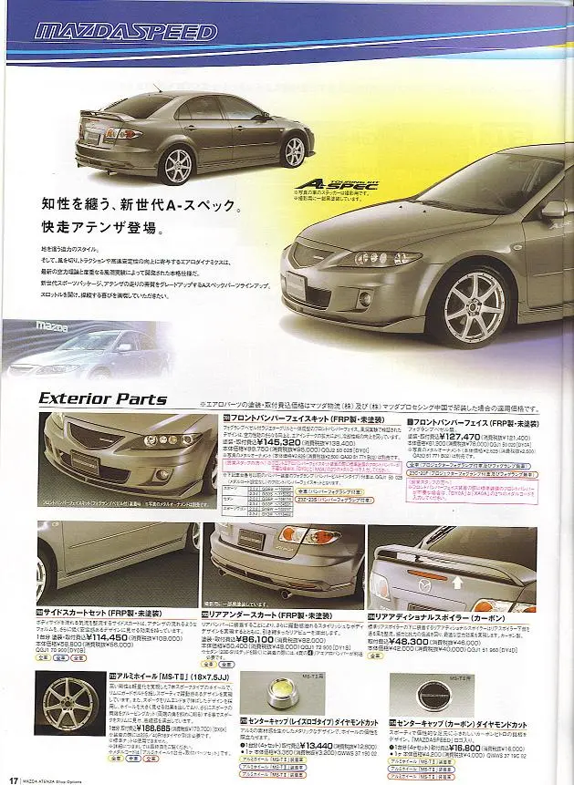 page17.jpg