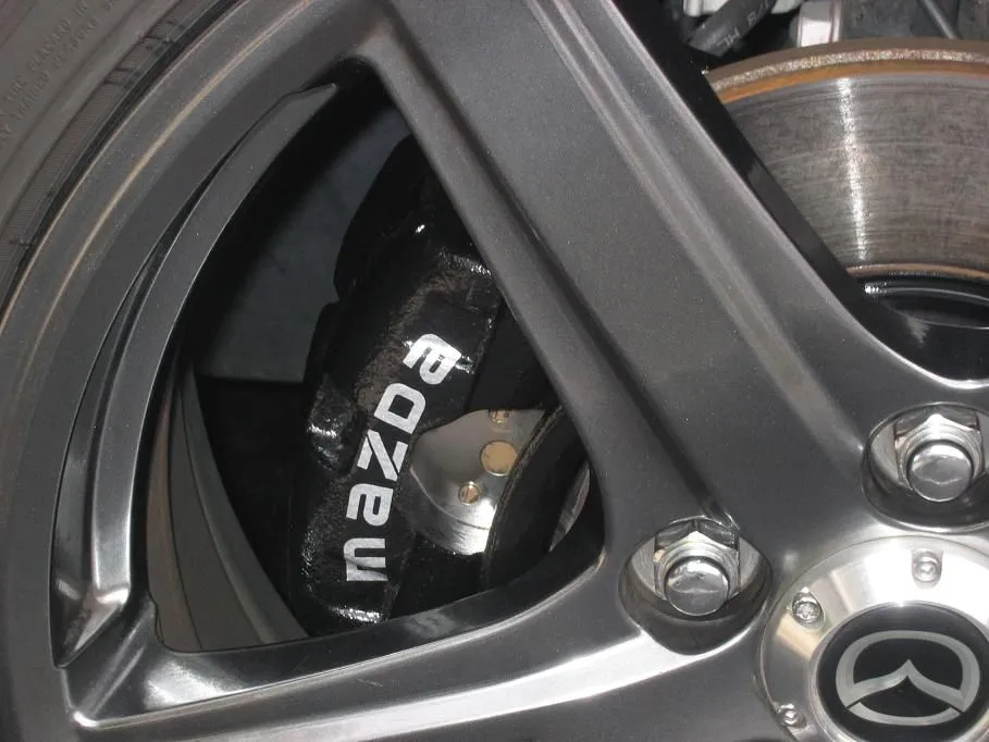 Painted Brakes 008.jpg