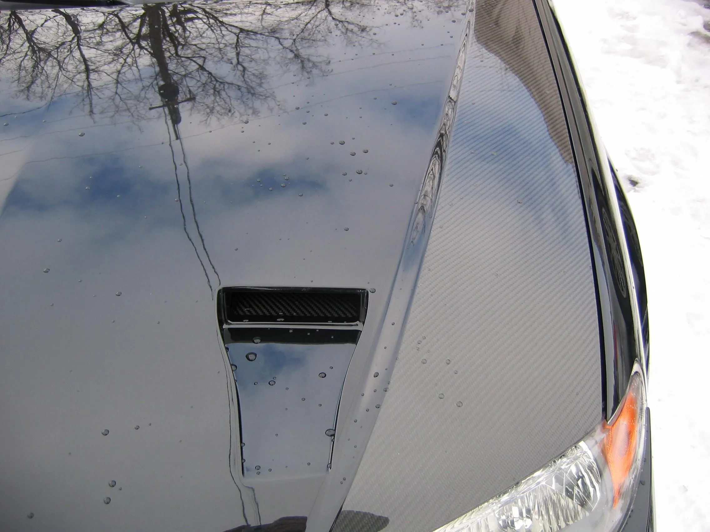 Painted hood1.JPG