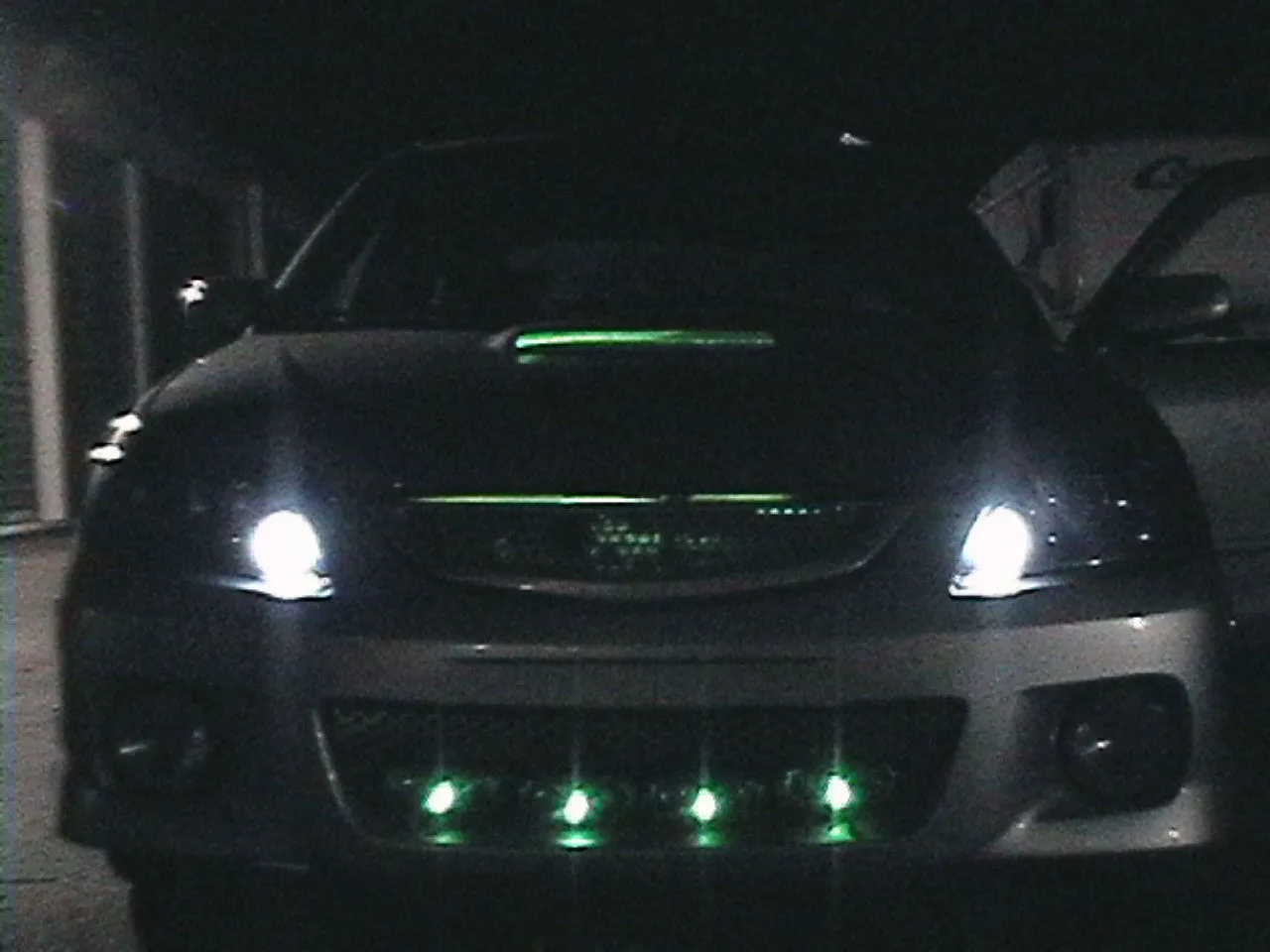 PANA0142g.jpg