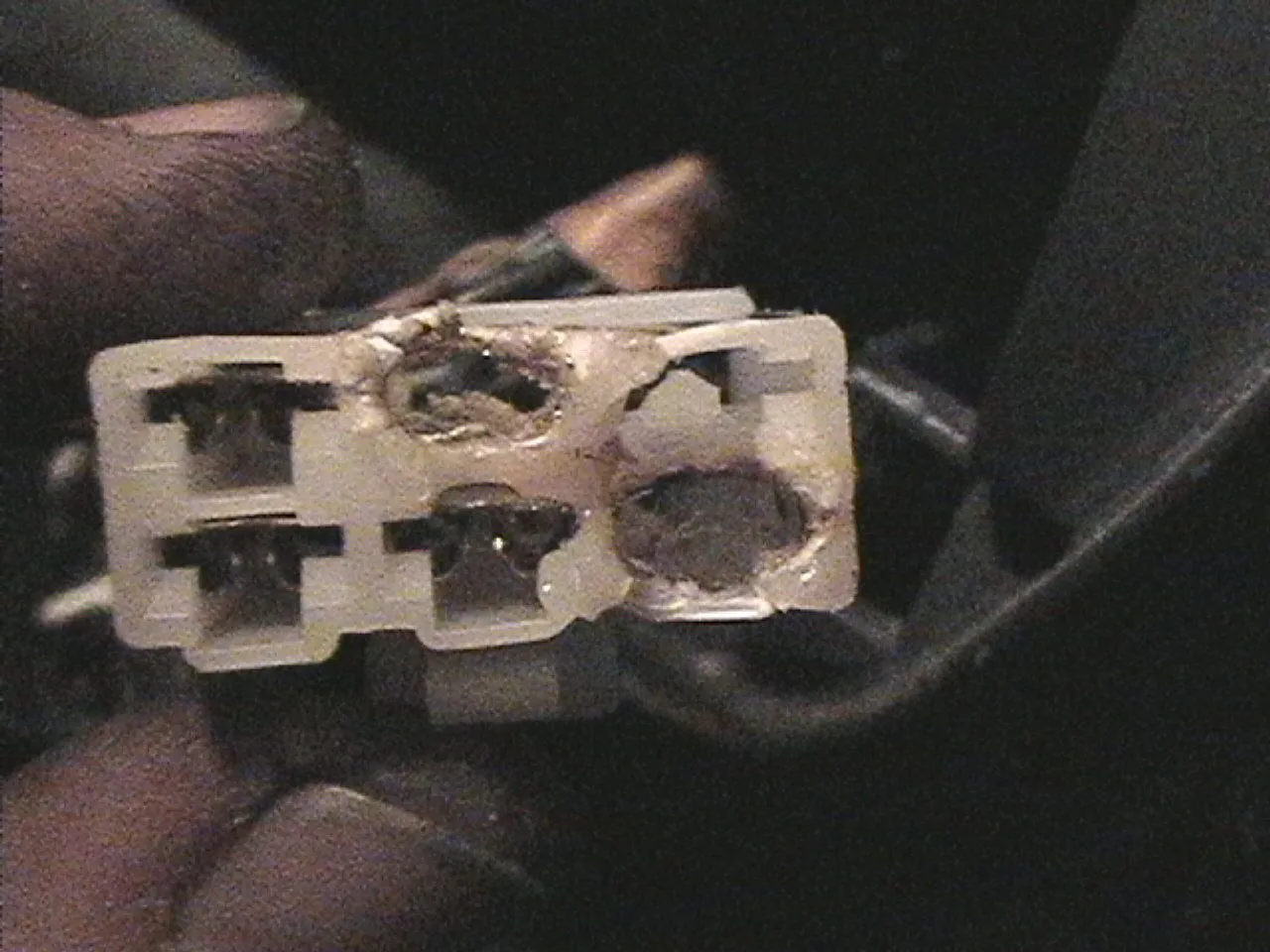 PANA0174.JPG