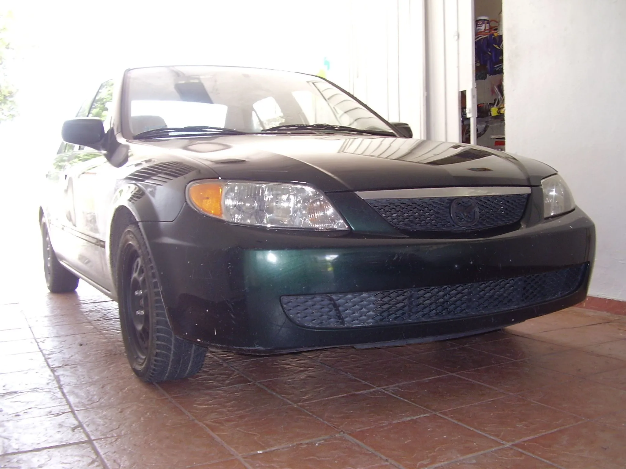 PB300057.JPG