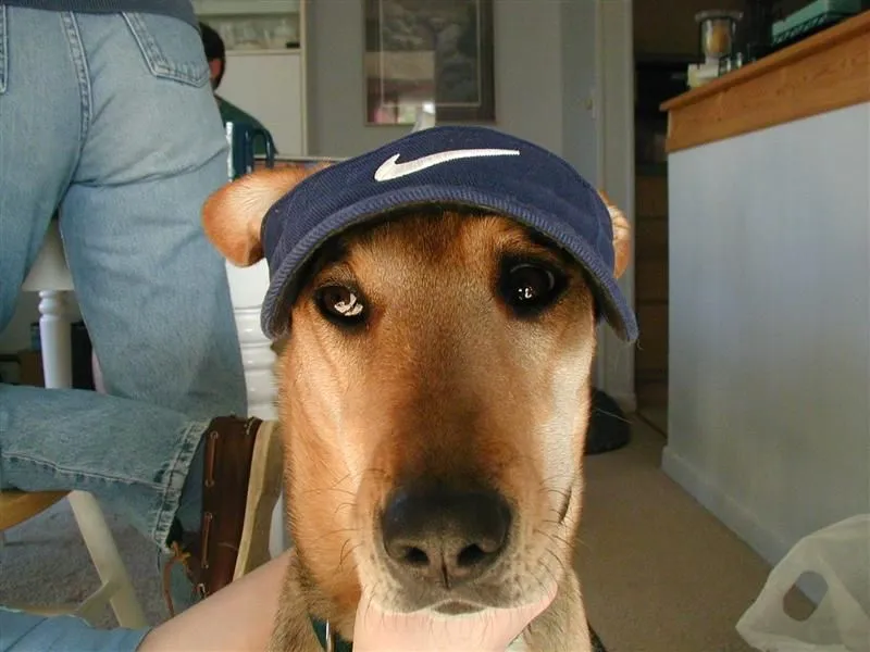 PC030119 (Medium).webp