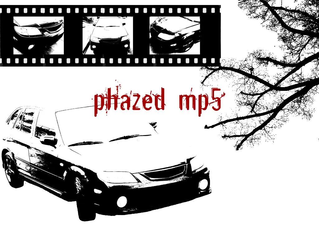 phazed.webp