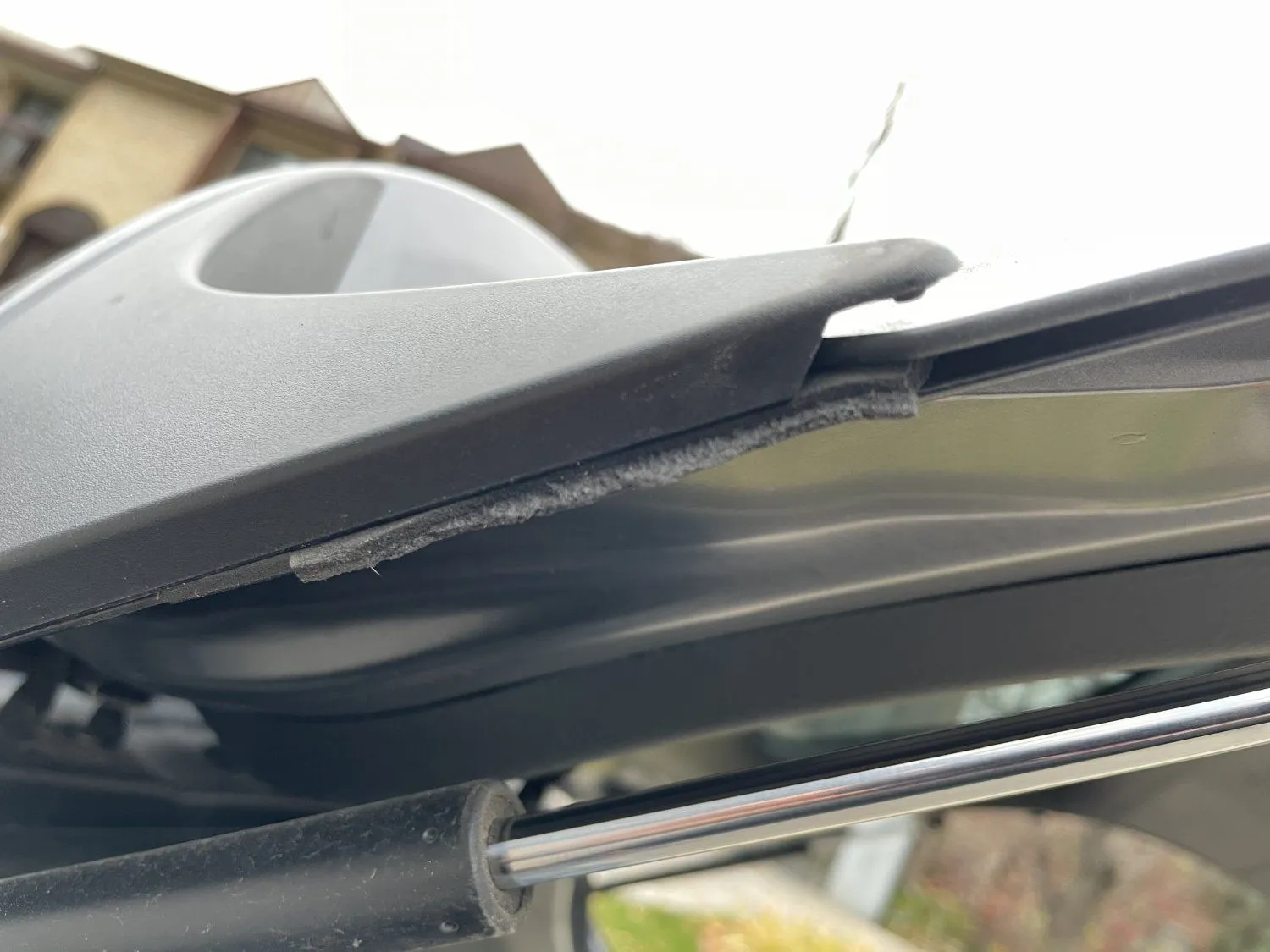 Photo 2020-11-13 14 44 41.jpg